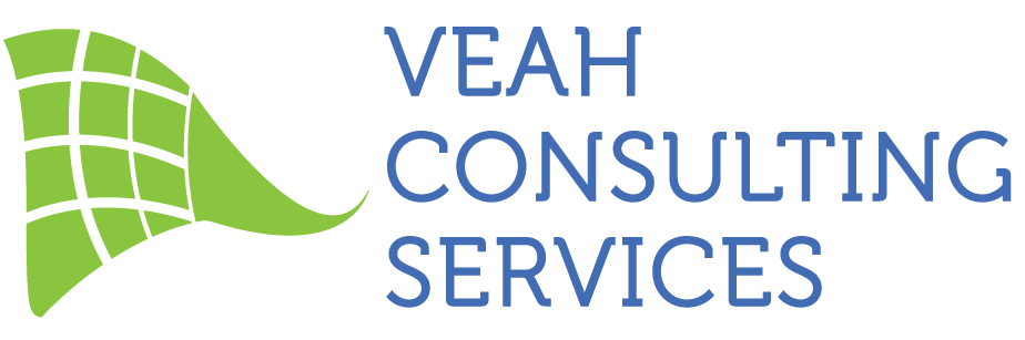 VEAH Consulting Services